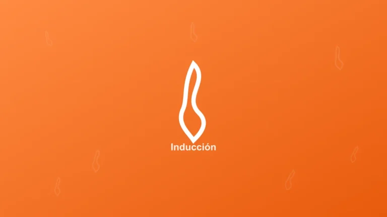 Mejores Sartenes de Acero Inoxidable para Inducción